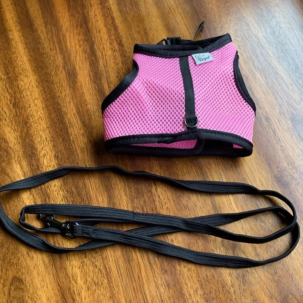 Small Animal Exotic Harness & Leash Set